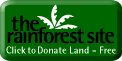 拯救热带雨林之页